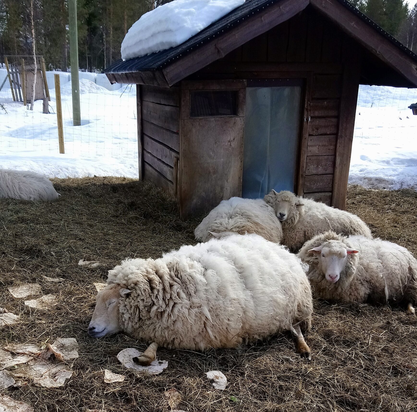 Alisuoriutuminen on signaali siitä-että jotain pitaisi tehdä toisin